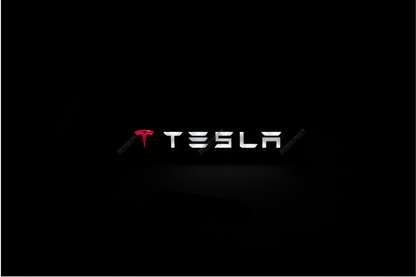 Front Emblem Grille Light For Tesla