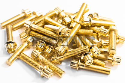 40PCS M6 x 1 x 30mm Gold 12 Point Wheel Bolts & Nuts